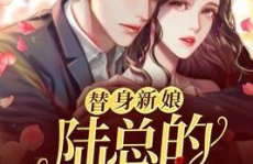 错嫁甜婚:总裁的契约妻,总裁契约妻的甜蜜逆袭之旅