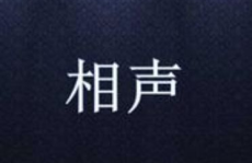 单口相声剧本,传统艺术与现代生活的幽默碰撞