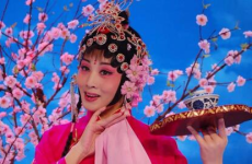 韩再芬黄梅戏下载,传承与创新的艺术之旅