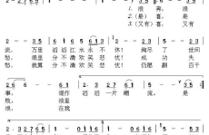 小伙模仿上海滩歌曲大全歌词完整,小伙演绎上海滩歌曲大全，重温经典旋律与歌词