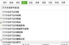 快递号查询,快递号查询全攻略