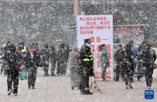 黑龙江多地降雪,春雪连冬雪，交通受阻，防疫工作面临挑战