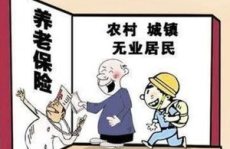 中央对农民退休金政策,保障农村养老，助力乡村振兴