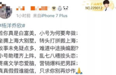 吃瓜小说娱乐圈番茄小说,番茄小说中的吃瓜传奇