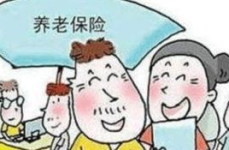 关于农村养老保险,构建和谐农村养老保障体系的关键举措