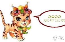 今年是什么生肖年呀,智慧灵巧，机遇与挑战并存