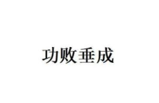 功败垂成什么意思,功败垂成的遗憾与启示
