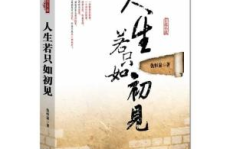 人生若只如初见小说,人生若只如初见小说概览