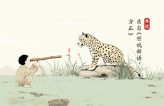 管中窥豹是什么意思,片面认知与全面洞察的哲学思考