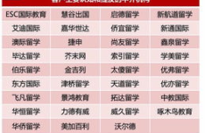 留学中介排行榜,2025年度留学中介机构综合实力排行榜解析