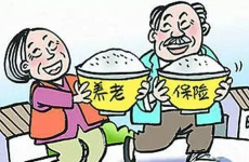 城乡养老保险,构建和谐社会的坚实保障
