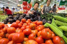 蔬菜价格上涨,蔬菜价格上涨背后的多重因素与应对策略