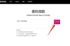 app推广链接,基于APP推广链接的营销策略与执行方案