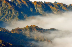 光雾山旅游攻略,南天童话之旅，探寻自然与文化的完美融合