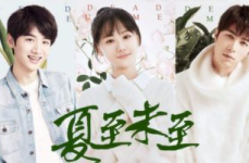 夏至未至小说,青春的悲欢离合与命运的交织