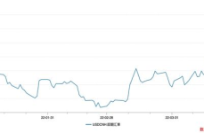 美元汇率换算,美元汇率变动下的经济概览